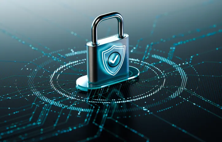 Data Protection Officer Programme